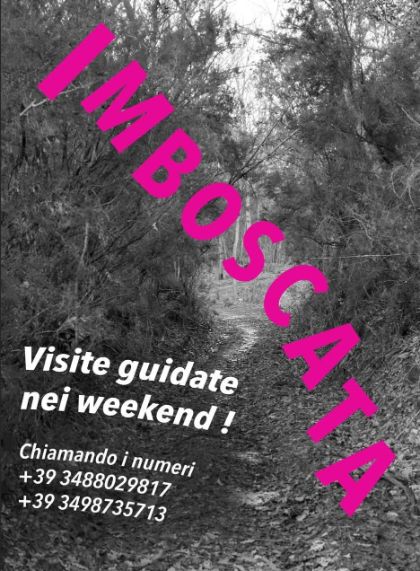 Imboscata - Independent Contemporary Art Project Imboscata - Independent Contemporary Art Project