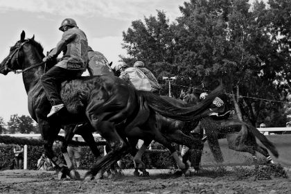 La Buca del Palio riapre agli allenamenti dei cavalli