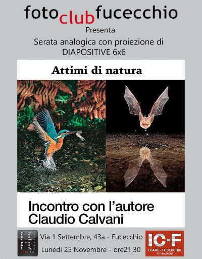 attimi di natura