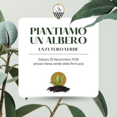 piantiamo un albero