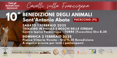 benedizione animali