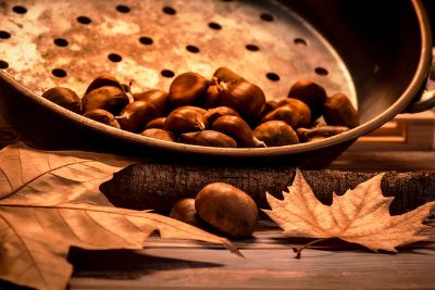 castagne autunno